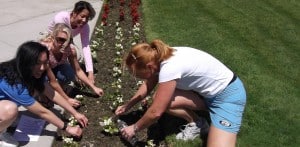 team building gardening